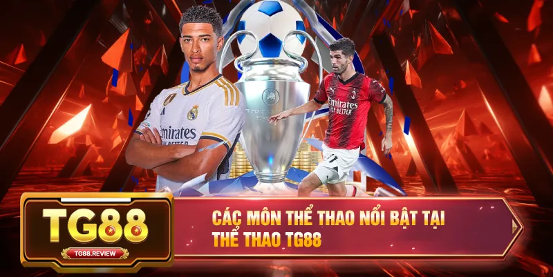 Các Môn Thể Thao Nổi Bật Tại Thể Thao TG88