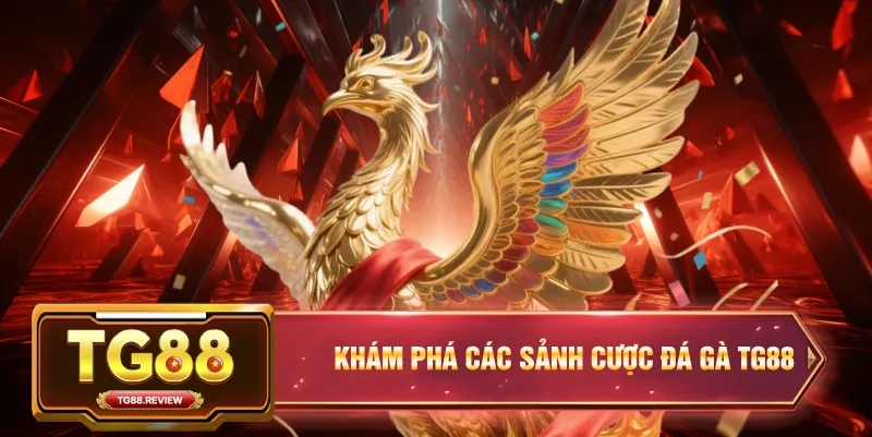 Khám Phá Các Sảnh Cược Đá Gà TG88